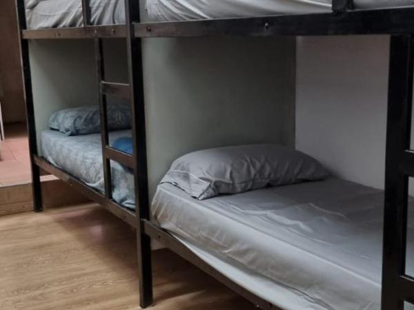 Windmill Hostel : photo 7 de la chambre lit dans dortoir mixte de 8 lits 