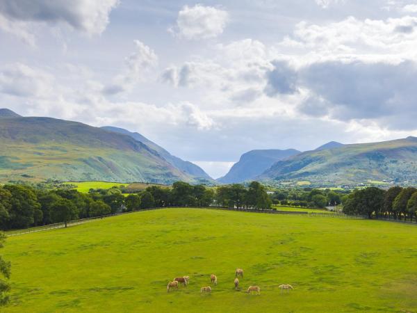 The Dunloe Hotel & Gardens : photo 1 de la chambre chambre double supérieure - vue sur gap