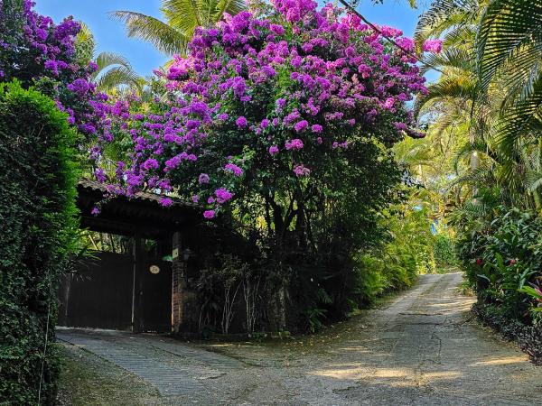 CABANAS DO SINO, onde Amor, Requinte e Natureza convivem : photo 7 de la chambre suite deluxe