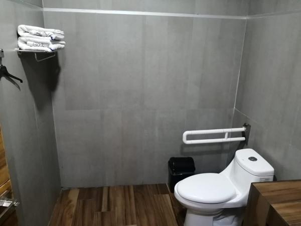 Hotel ANB Aeropuerto Guadalajara : photo 4 de la chambre chambre double - accessible aux personnes à mobilité réduite 