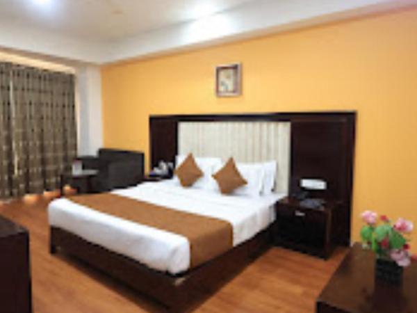 SN BLU HOTEL PANCHVATI Ahmedabad : photo 2 de la chambre chambre deluxe