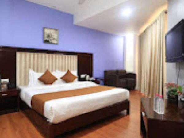 SN BLU HOTEL PANCHVATI Ahmedabad : photo 4 de la chambre chambre deluxe