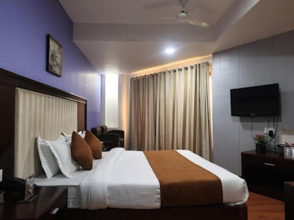 SN BLU HOTEL PANCHVATI Ahmedabad : photo 5 de la chambre chambre deluxe