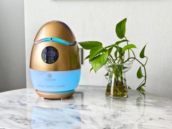 Shu Guang International Hotel : photo 6 de la chambre chambre double