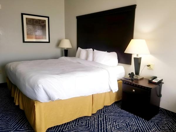 Comfort Inn & Suites Dallas Medical-Market Center : photo 5 de la chambre suite lit king-size – non-fumeurs