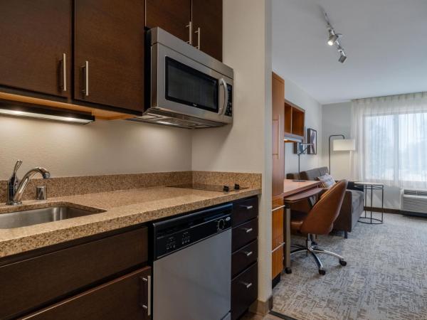 TownePlace Suites by Marriott Albuquerque North : photo 6 de la chambre studio lit queen-size avec canapé-lit