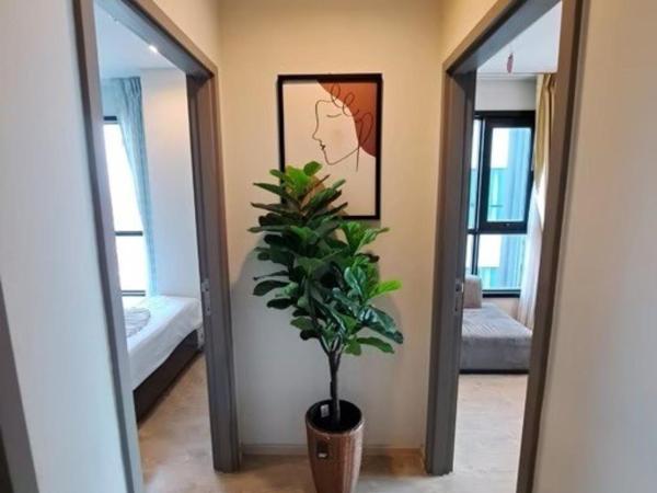 The Base Central Pattaya by Mickey : photo 5 de la chambre appartement 2 chambres