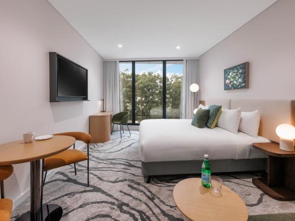 Veriu Macquarie Park : photo 3 de la chambre suite veriu