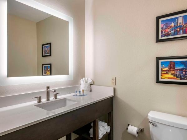 Comfort Inn & Suites Jacksonville - Orange Park Near Naval Air Station : photo 4 de la chambre chambre lit king-size standard - non-fumeurs