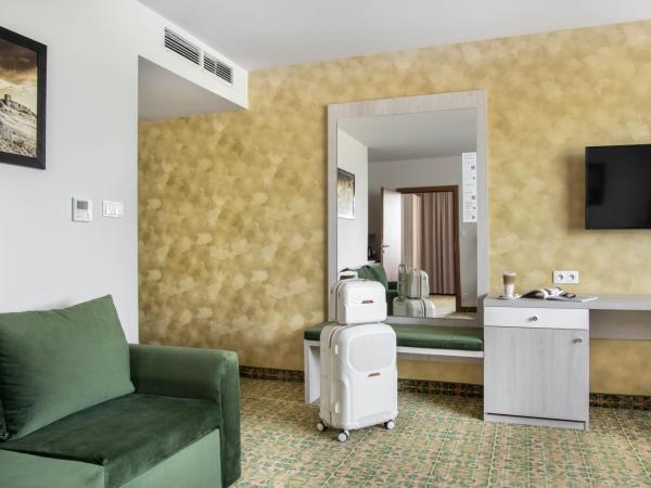 Hotel Arche : photo 5 de la chambre appartement deluxe