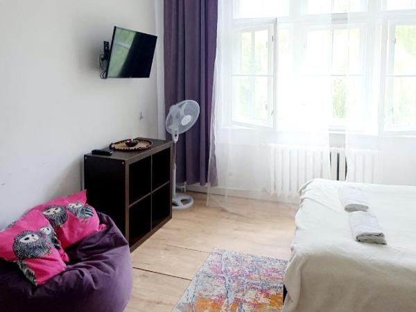 Rybnicka 10 : photo 4 de la chambre grande chambre double