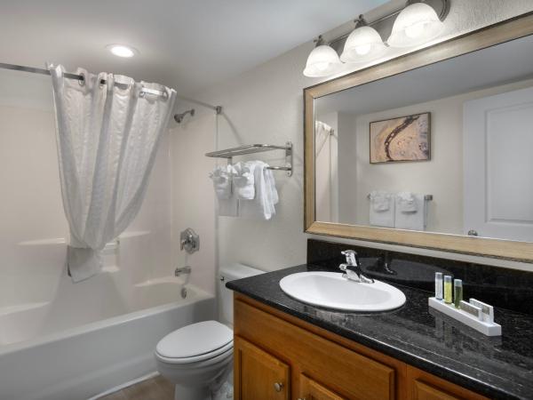 North Beach Resort & Villas : photo 1 de la chambre appartement 1 chambre - vue sur océan