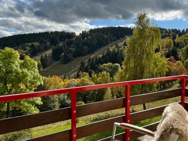 Apartmány nad Šlikovkou : photo 9 de la chambre appartement avec balcon