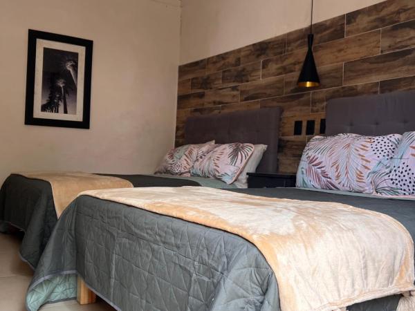 The Black Tree Hotel : photo 1 de la chambre chambre lits jumeaux deluxe