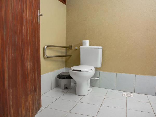 Pousada Vale do Sul : photo 8 de la chambre studio - accessible aux personnes à mobilité réduite 