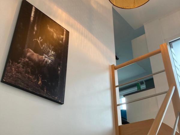 Ô Secret du Wérihay : photo 2 de la chambre suite avec terrasse