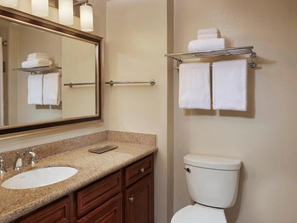 Hilton Grand Vacations Club SeaWorld Orlando : photo 4 de la chambre studio lit king-size