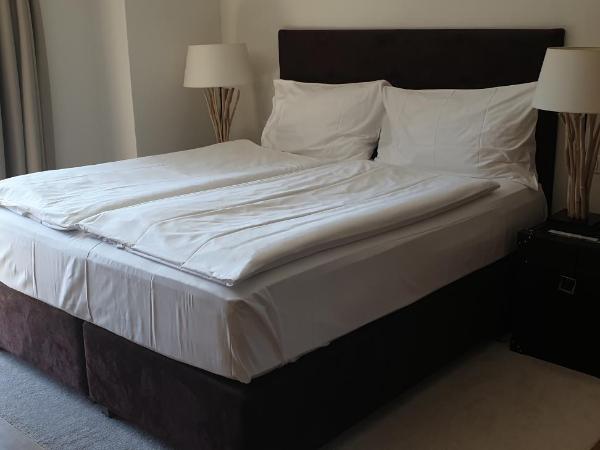 Hotel des Alpes Superieur : photo 2 de la chambre chambre double westside 