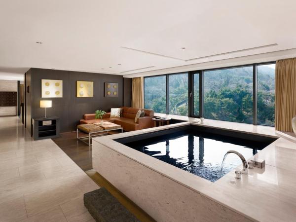 Banyan Tree Club & Spa Seoul : photo 1 de la chambre grand premier pool namsan view suite