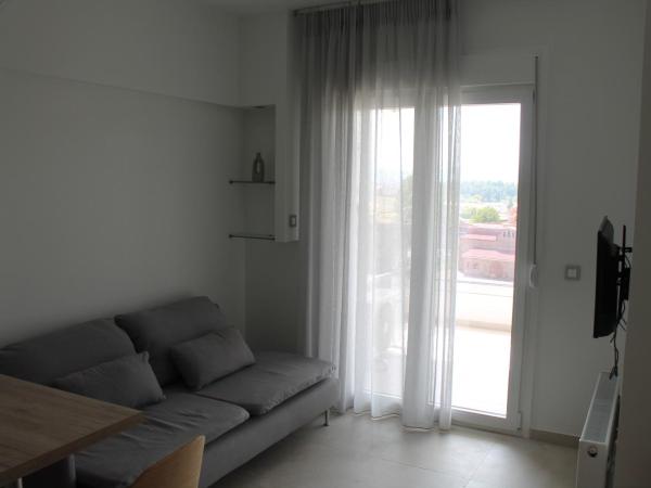 AAA Luxury Residences : photo 6 de la chambre appartement standard