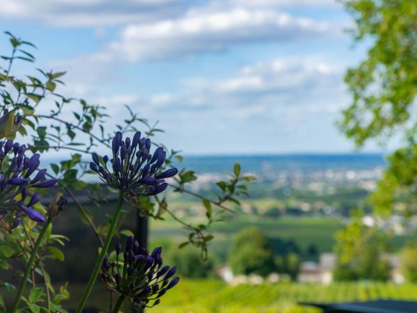 Le Domaine de La Tour des Vents : photo 4 de la chambre chambre deluxe