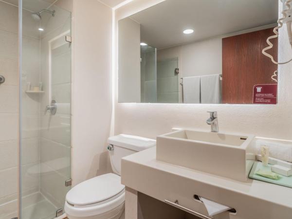 City Express Suites by Marriott Queretaro : photo 6 de la chambre junior double suite with two double beds and sofa bed