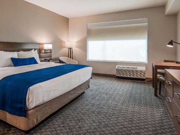 Best Western Plus Executive Residency Austin - Round Rock : photo 3 de la chambre junior suite with one king bed and kitchenette - non-smoking