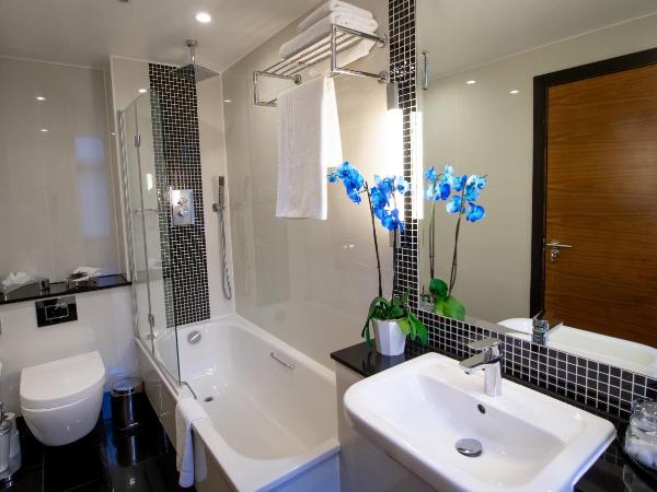 Wellington Hotel by Blue Orchid : photo 1 de la chambre chambre supérieure lit queen-size