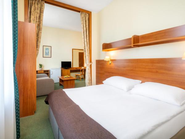 Hotel Millennium : photo 5 de la chambre appartement