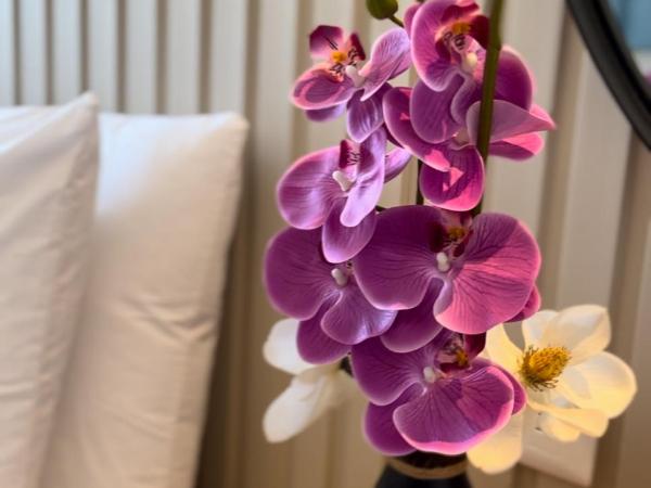 Coralia Boutique Hotel Cozumel : photo 8 de la chambre chambre lit queen-size deluxe