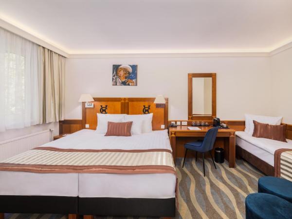 Carlton Hotel Buda Castle : photo 1 de la chambre chambre familiale