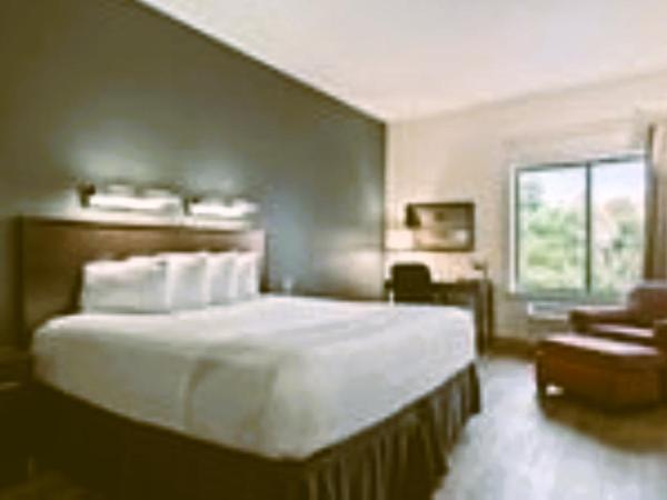 Suburban Studios : photo 4 de la chambre chambre lit king-size - non-fumeurs/couloir intérieur