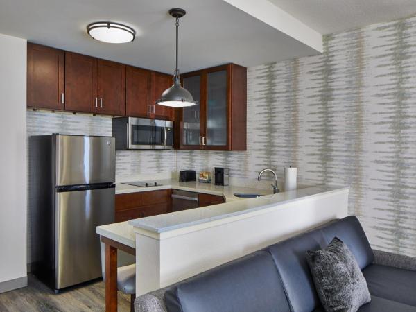 Residence Inn Atlanta Perimeter Center Dunwoody : photo 3 de la chambre studio lit king-size deluxe