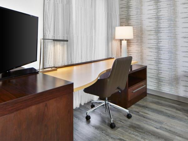 Residence Inn Atlanta Perimeter Center Dunwoody : photo 6 de la chambre studio lit king-size avec canapé-lit