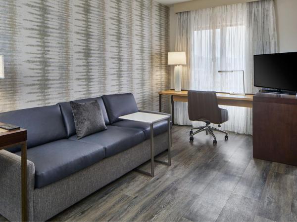 Residence Inn Atlanta Perimeter Center Dunwoody : photo 5 de la chambre studio lit queen-size