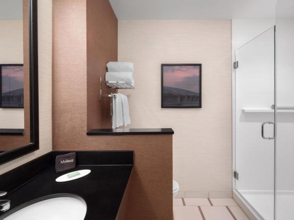 Fairfield Inn & Suites by Marriott Orlando Kissimmee/Celebration : photo 6 de la chambre chambre lit king-size