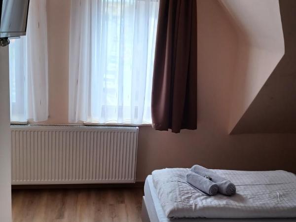 Pension am Stern : photo 2 de la chambre chambre double deluxe avec douche
