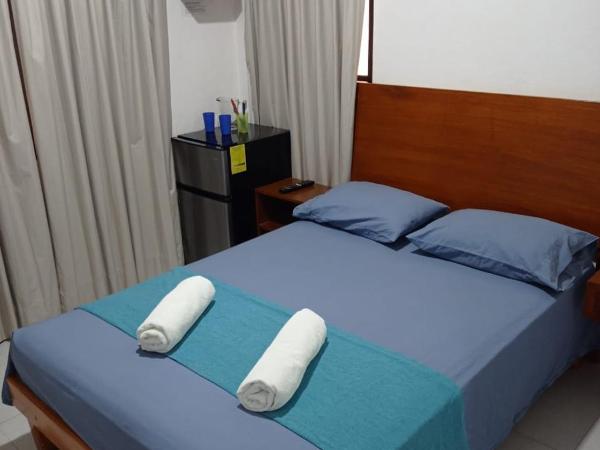 Casa de huéspedes Taino : photo 7 de la chambre chambre double avec salle de bains privative