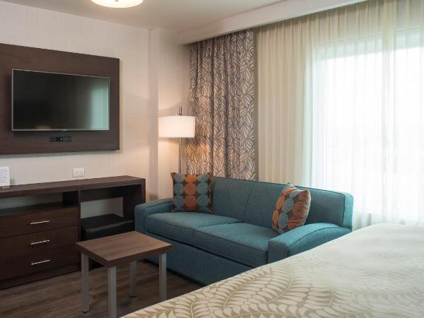 Staybridge Suites Puebla, an IHG Hotel : photo 5 de la chambre suite 1 chambre avec vue sur la piscine