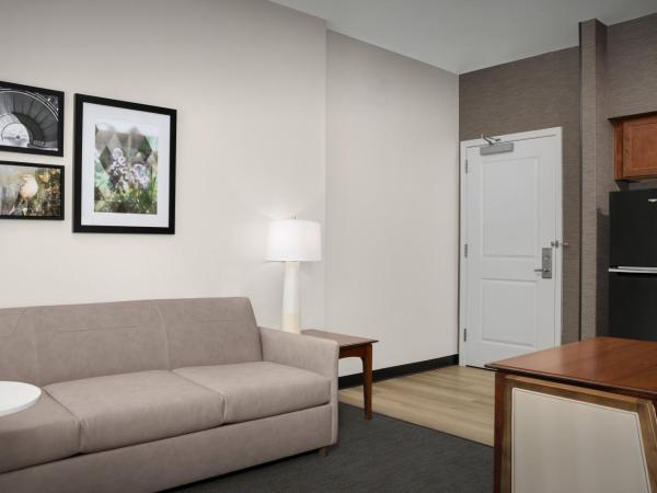 Residence Inn Houston West Energy Corridor : photo 6 de la chambre studio lit queen-size avec canapé-lit