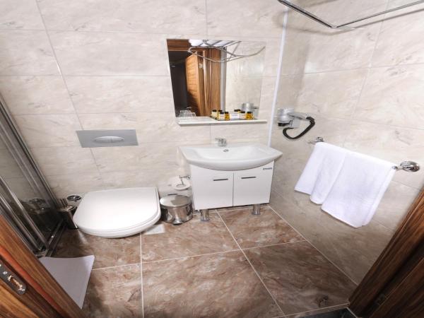 Gazel Suites Downtown : photo 7 de la chambre suite studio junior