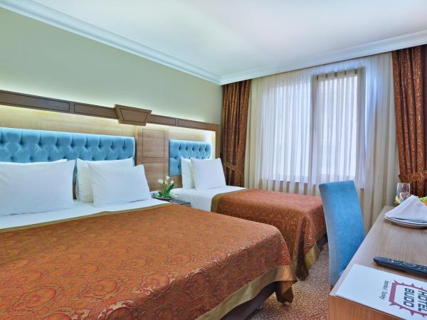 Budo Hotel : photo 4 de la chambre chambre familiale