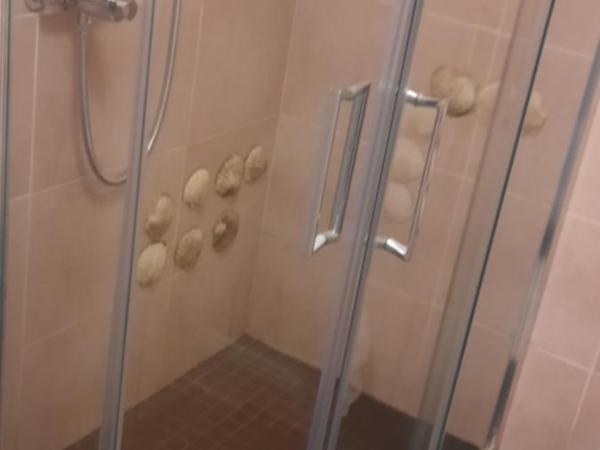 Boutique Guest House : photo 2 de la chambre chambre double Économique