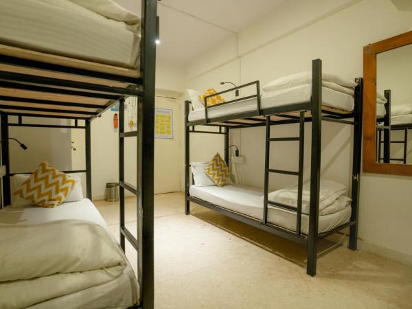 Locomo Express - Stay Work Eat : photo 2 de la chambre lit dans dortoir mixte de 6 lits