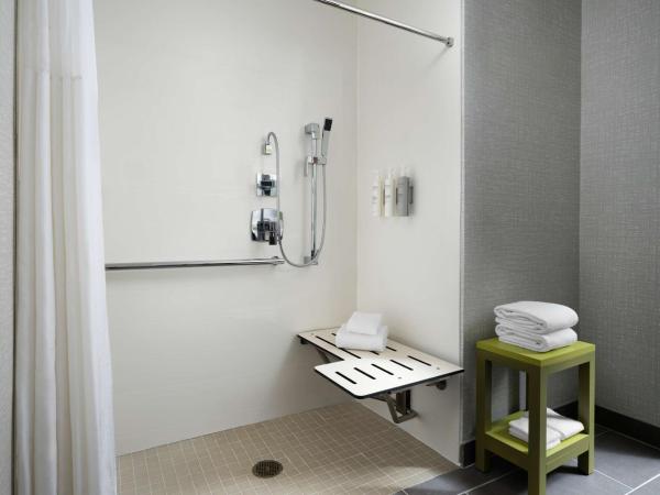Hampton Inn San Diego/Del Mar : photo 4 de la chambre chambre lit king-size avec douche accessible en fauteuil roulant -adaptée aux personnes à mobilité réduite/malentendantes - non-fumeurs