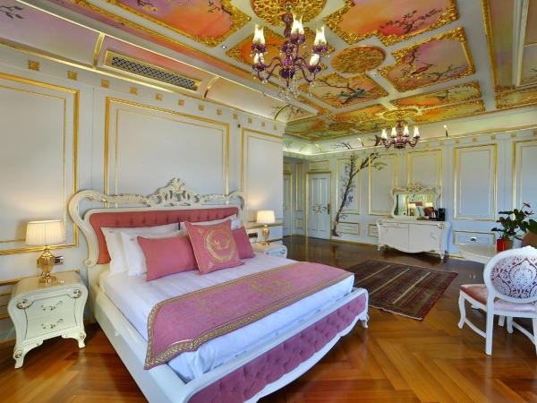 Seven Hills Palace & Spa : photo 9 de la chambre suite dans demeure de caractère - accès gratuit au spa commun (usage autonome)