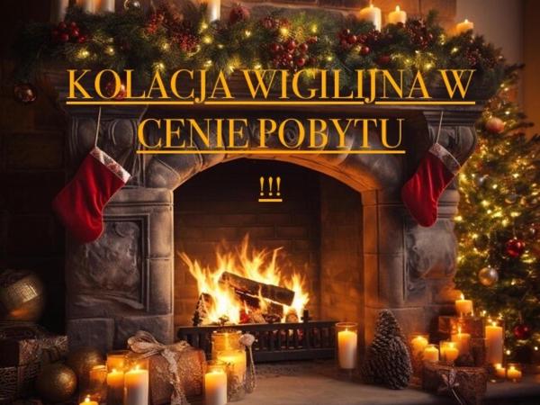 Chałpa z bali : photo 1 de la chambre chambre double avec salle de bains privative