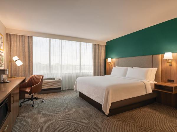 Holiday Inn Nashville Downtown - Stadium, an IHG Hotel : photo 1 de la chambre chambre lit king-size standard