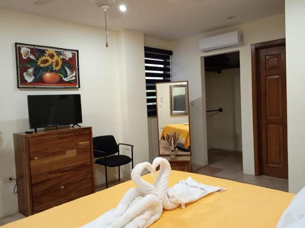 Ave Fénix Hotel and Resort : photo 1 de la chambre suite standard