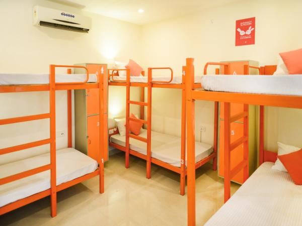 Zostel Jaipur : photo 6 de la chambre lit dans dortoir mixte de 8 lits